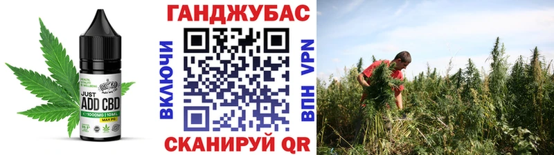 Canna-Cookies конопля  mega как зайти  Лениногорск 