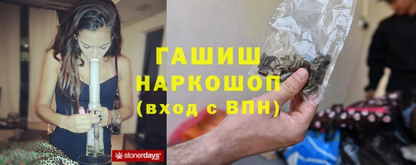 гидра Алзамай
