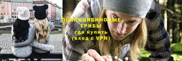 соль ск Алексин
