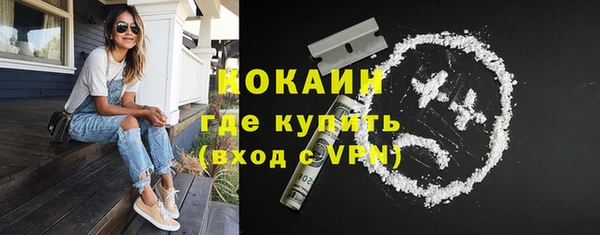 соль ск Алексин