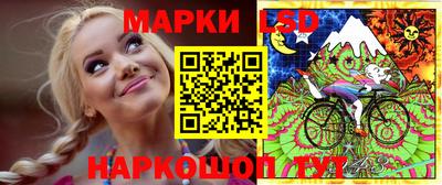 стафф Гай
