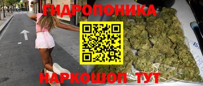 стафф Гай