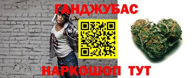 стафф Гай