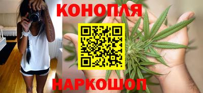 гидропоника Гагарин