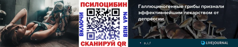 купить   блэк спрут как зайти  Галлюциногенные грибы MAGIC MUSHROOMS  Лениногорск 