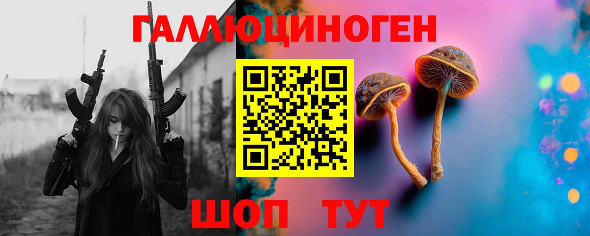 Лениногорск  Галлюциногенные грибы MAGIC MUSHROOMS  Вход с VPN 
