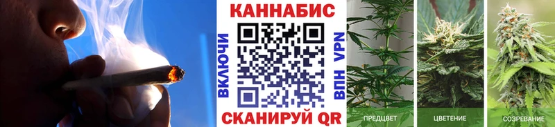 Шишки марихуана планчик Лениногорск